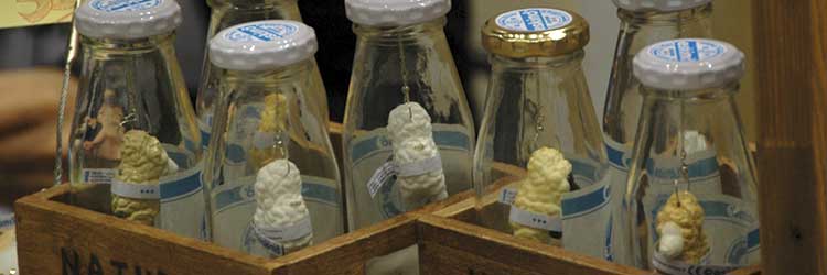 eskimo �C���[�W�摜